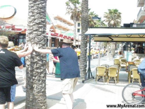 Mallorca Urlaubsbild - .