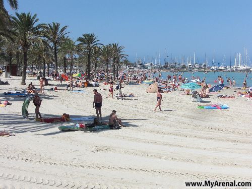 Mallorca Urlaubsbild - Strand beim Hafen 